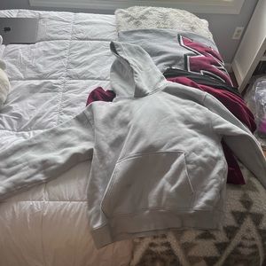 Aritzia Perfect Hoodie